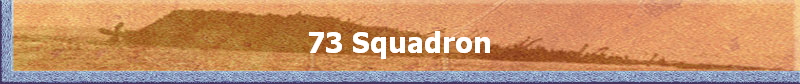 73 Squadron