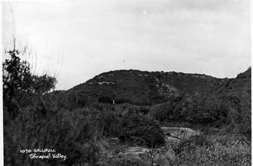 shrapnel valley galipoli 1936316