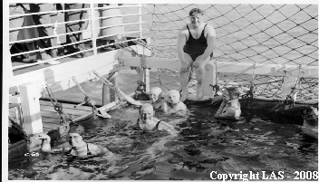 Lancastria swiming pool